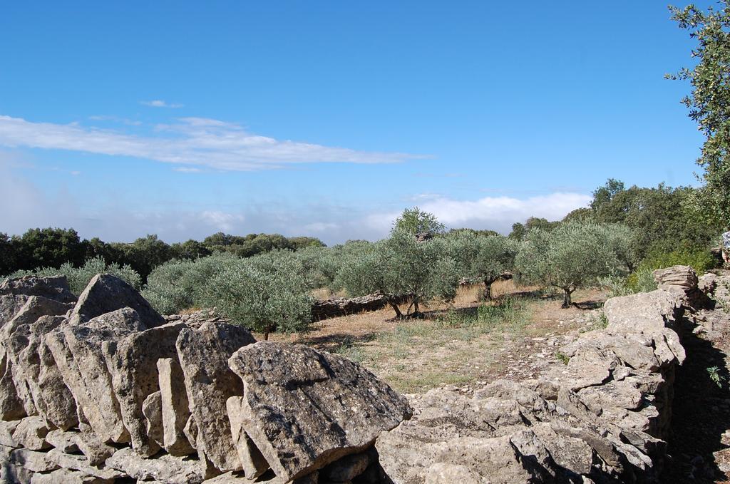 Cypres Du Paradis A Gordes Exterior foto